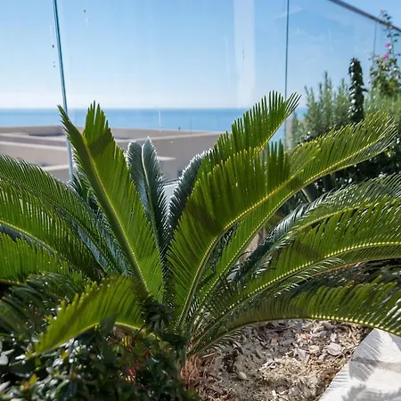 Lejlighedshotel Miku Coast Palasë