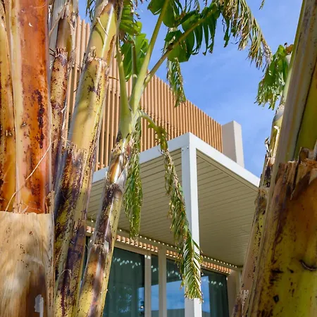 Miku Coast 4* Palasë